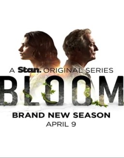 Bloom