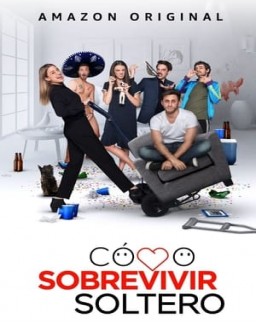 Comment survivre célibataire saison 1