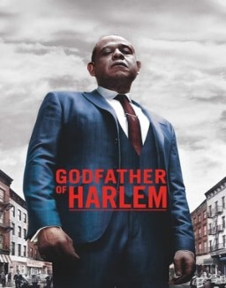 Godfather of Harlem saison 1