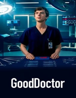 Good Doctor saison 1