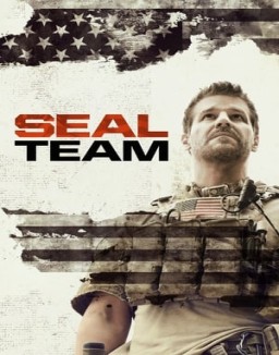 SEAL Team