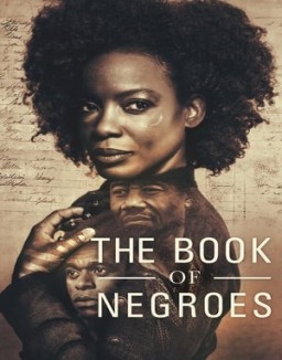 The Book of Negroes